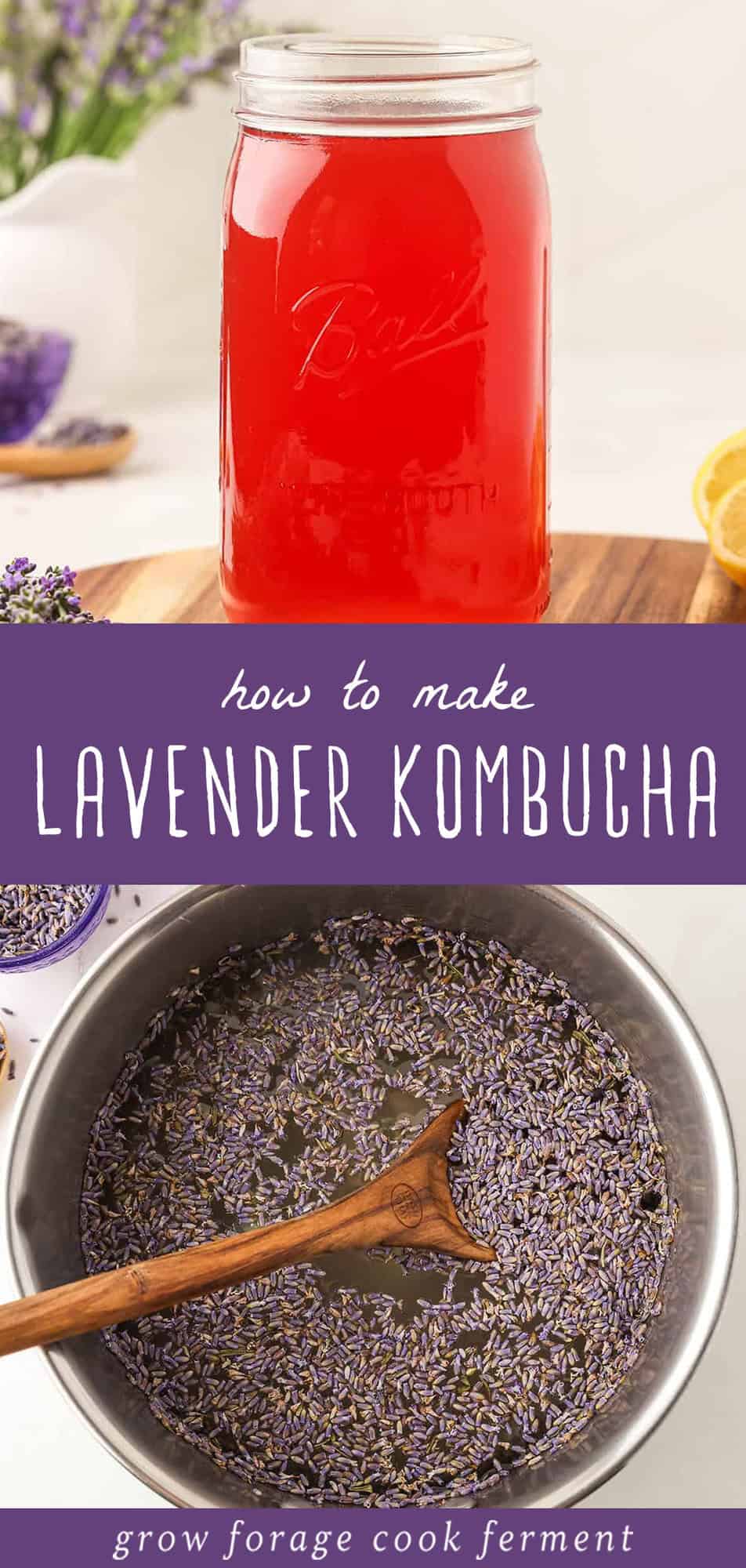 Lavender Kombucha A Calming Second Ferment