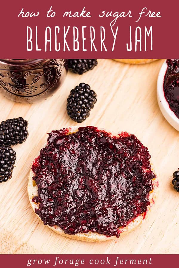 Homemade Blackberry Jam LowSugar or No Sugar