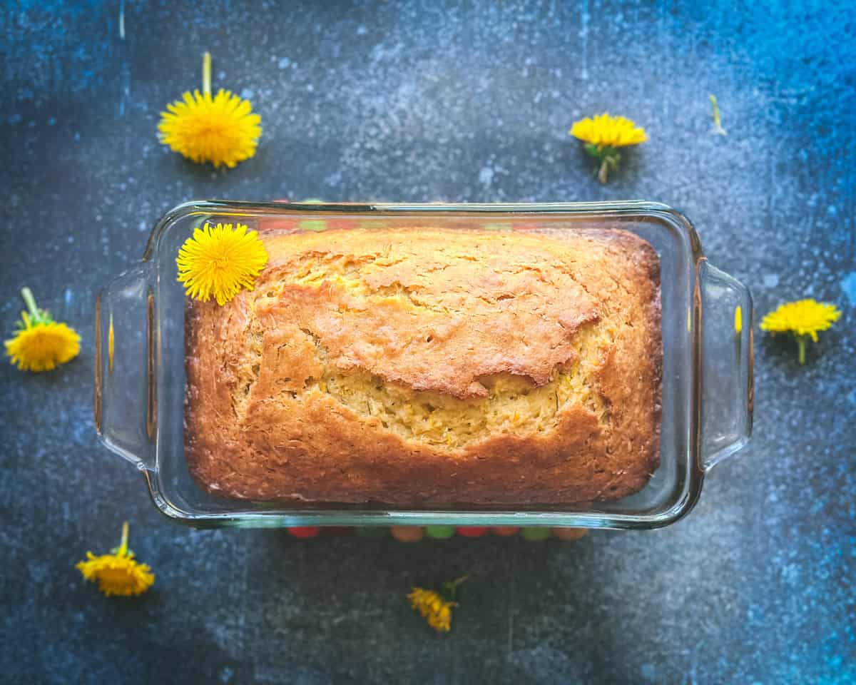 Baked dandelion bread cooling in the pan.