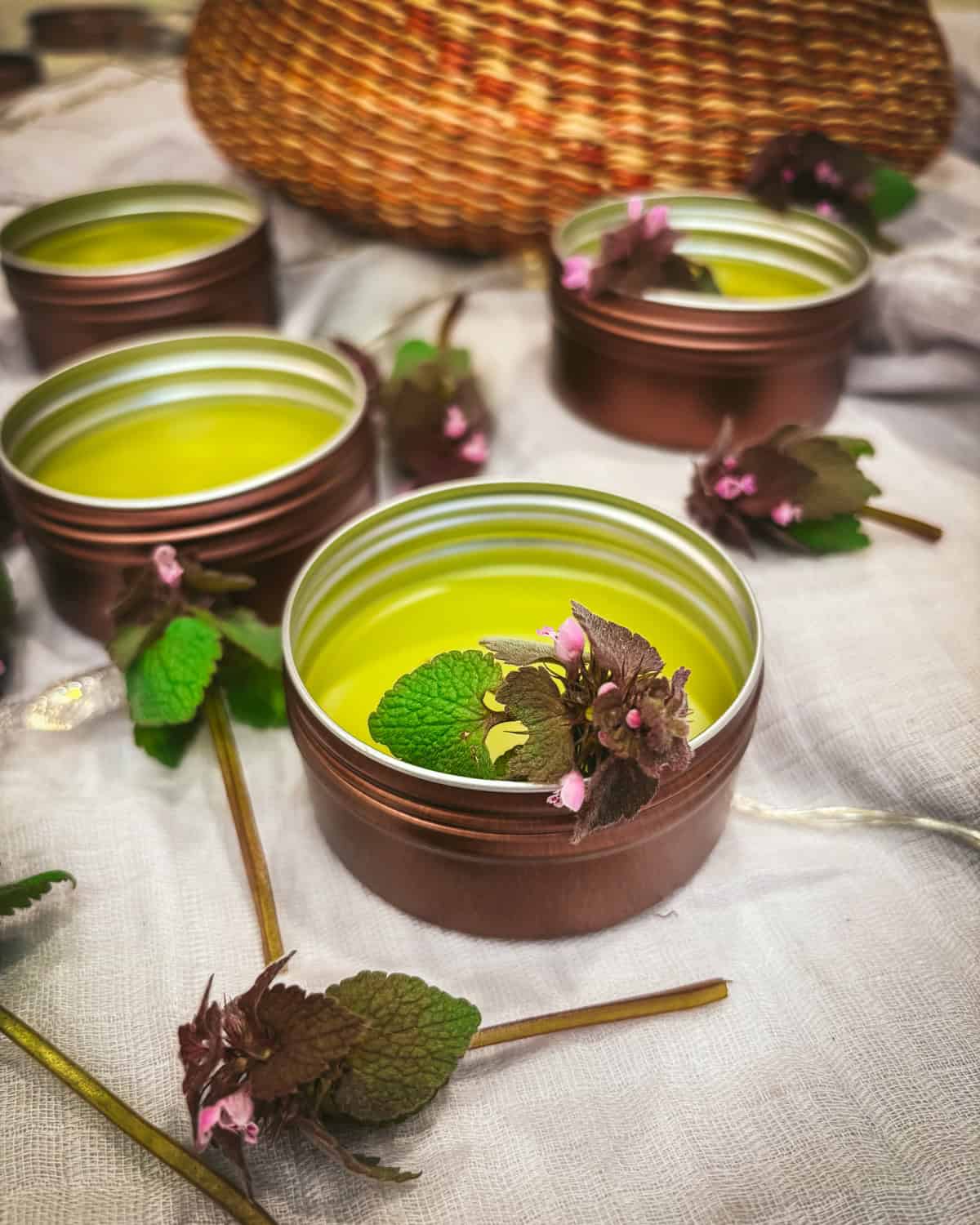 Purple dead nettle salve.