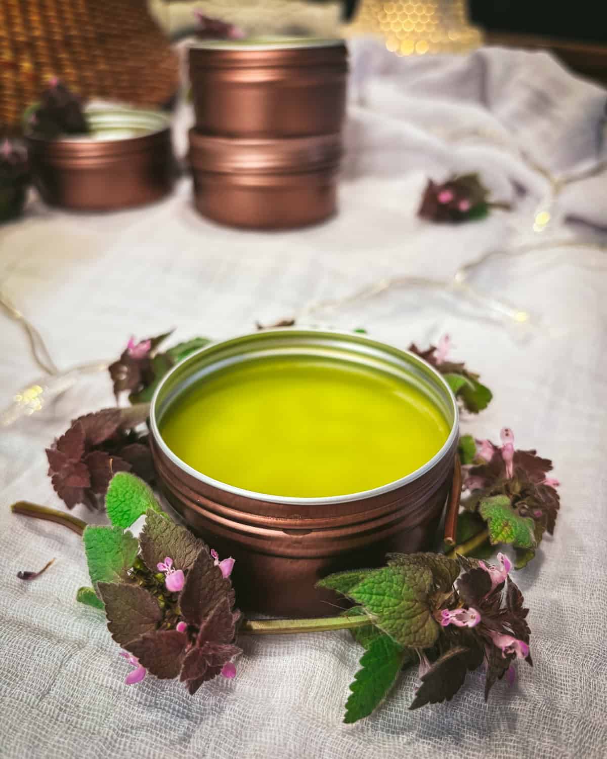 Purple dead nettle salve. 