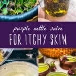 purple nettle salve for itchy skin