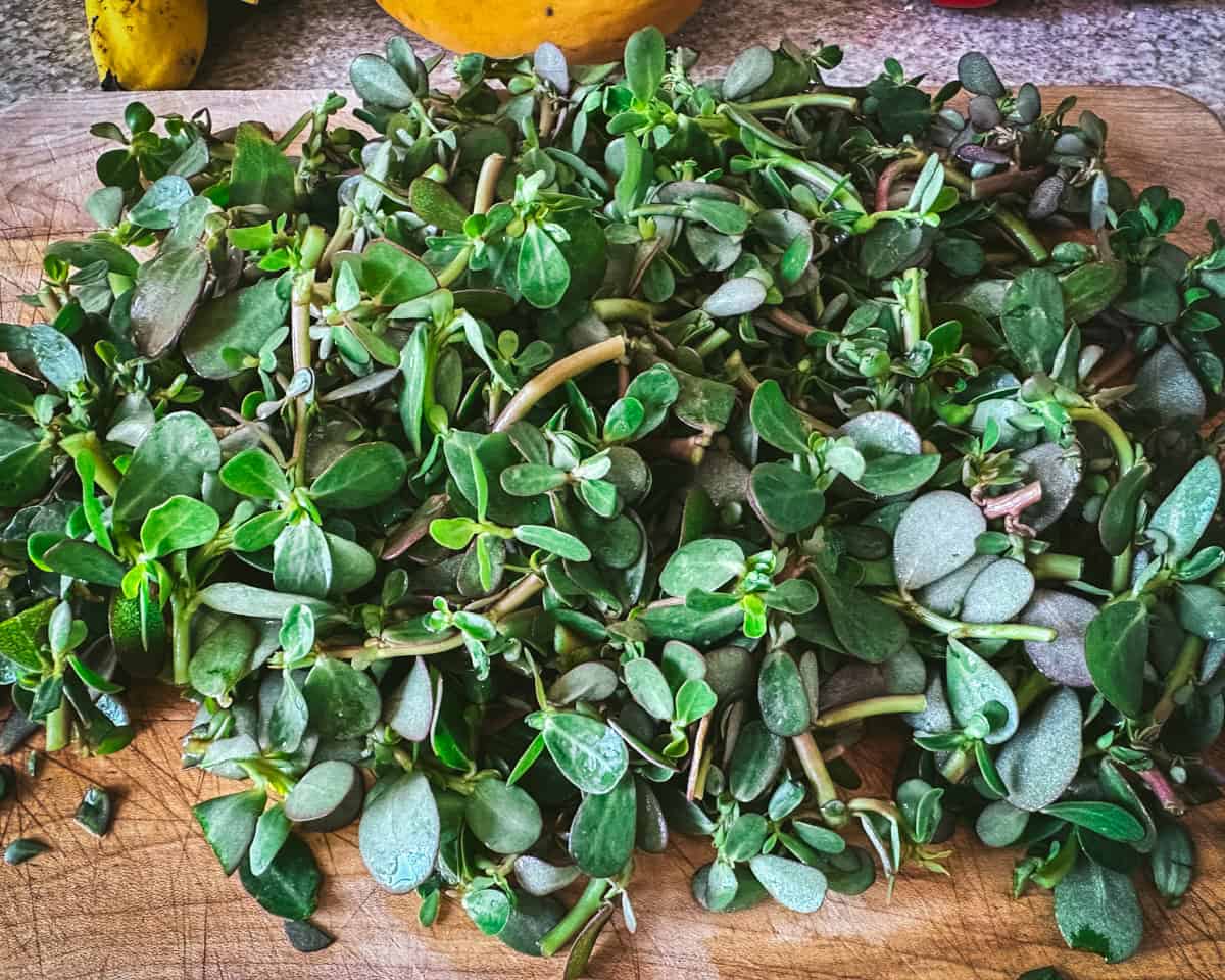 Chopped purslane.
