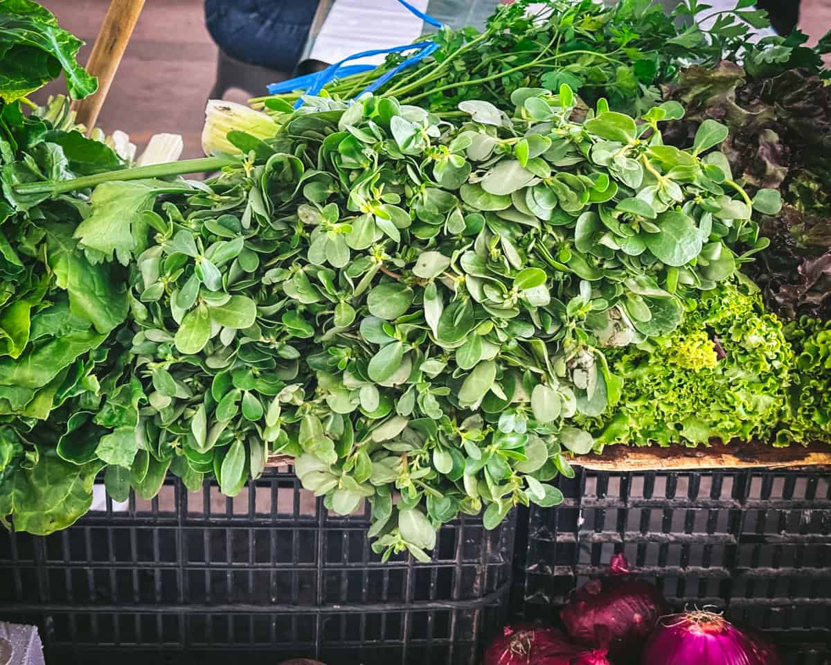 Purslane in a basket.